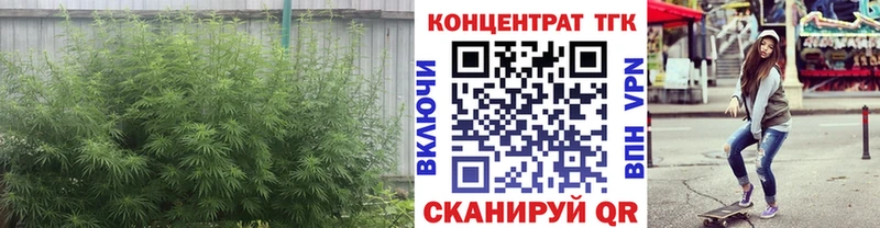 ТГК концентрат  Канск 